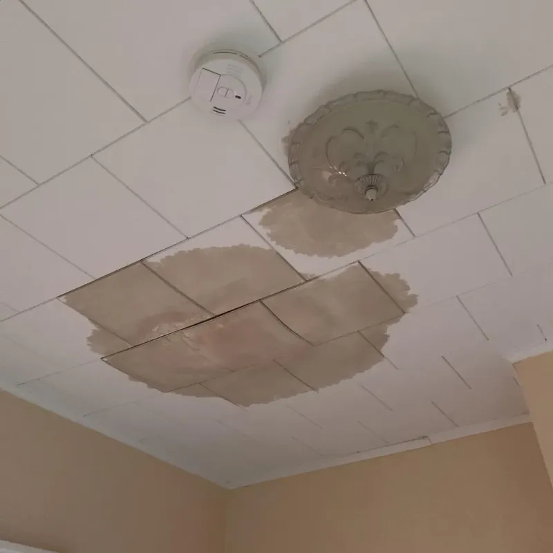 Ceiling Water Damage Repair in Lanesborough, MA